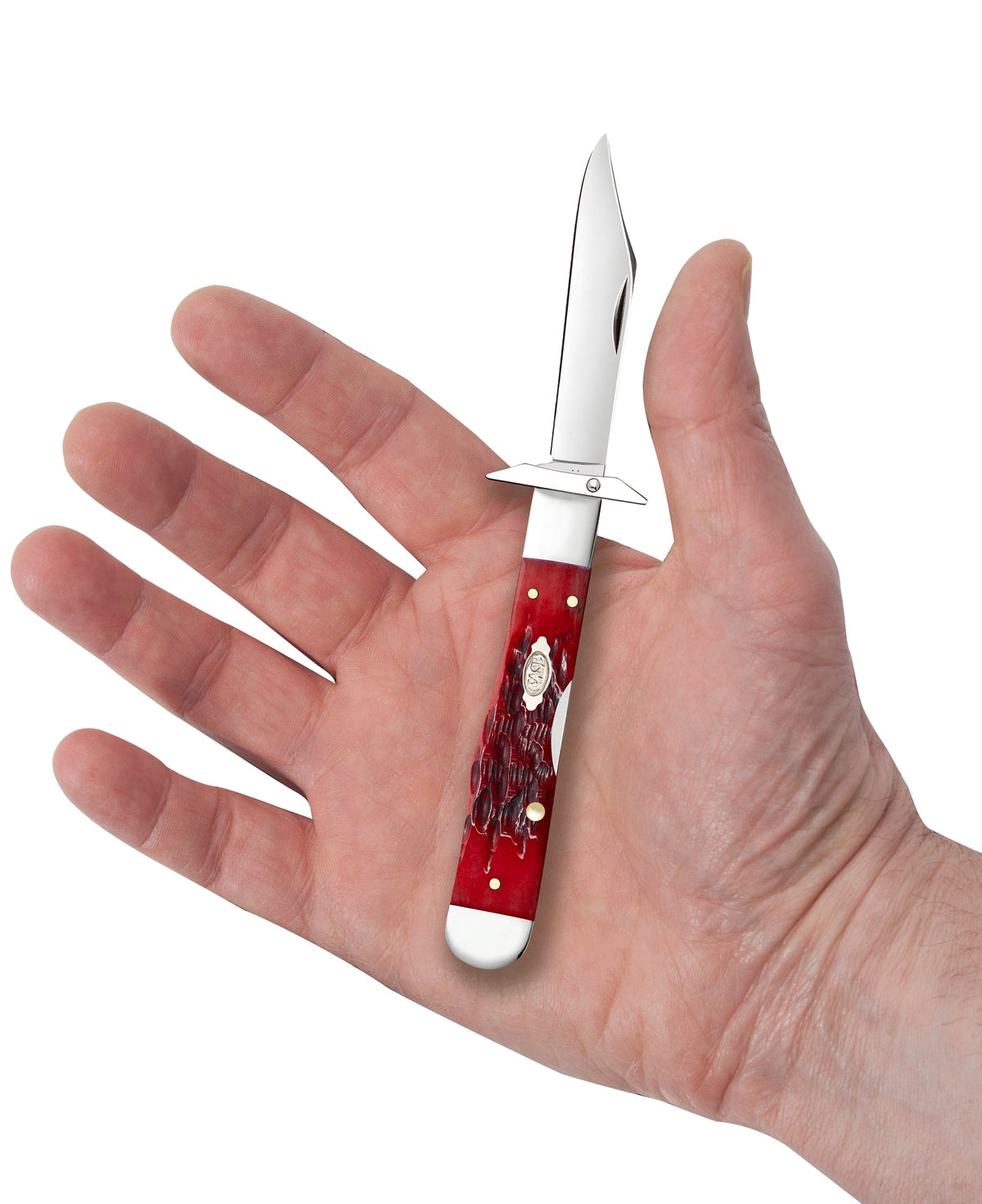 Case Knives Peach Seed Jigged Dark Red Bone CS Cheetah® Cub