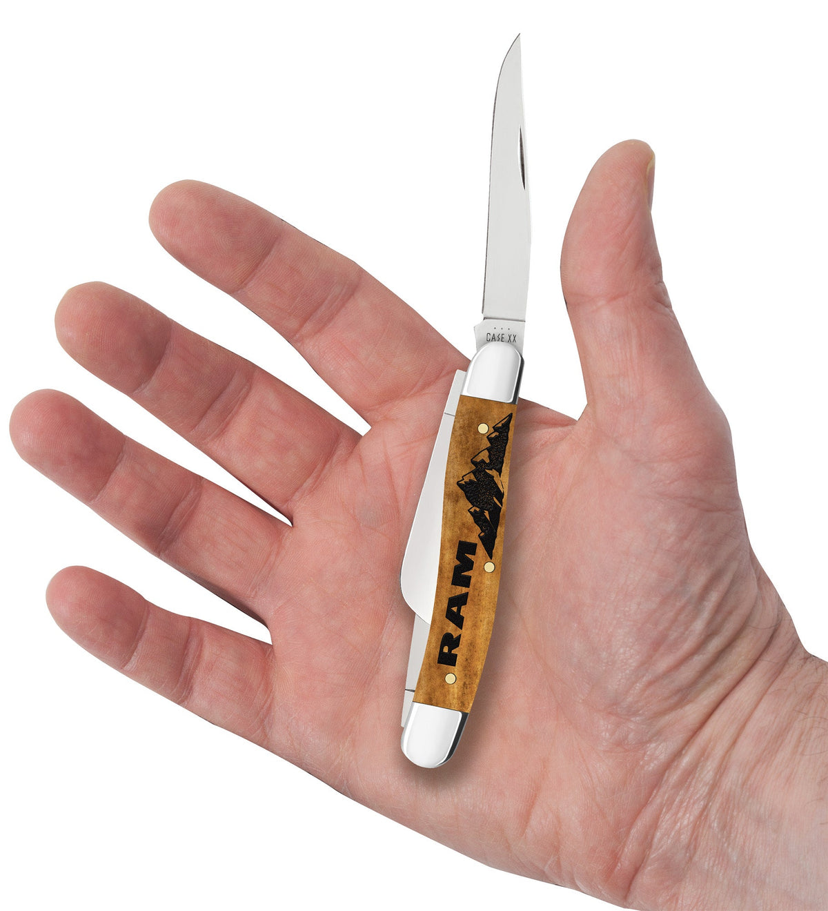 Case Knives Ram® Embellished Smooth Antique Bone Medium Stockman