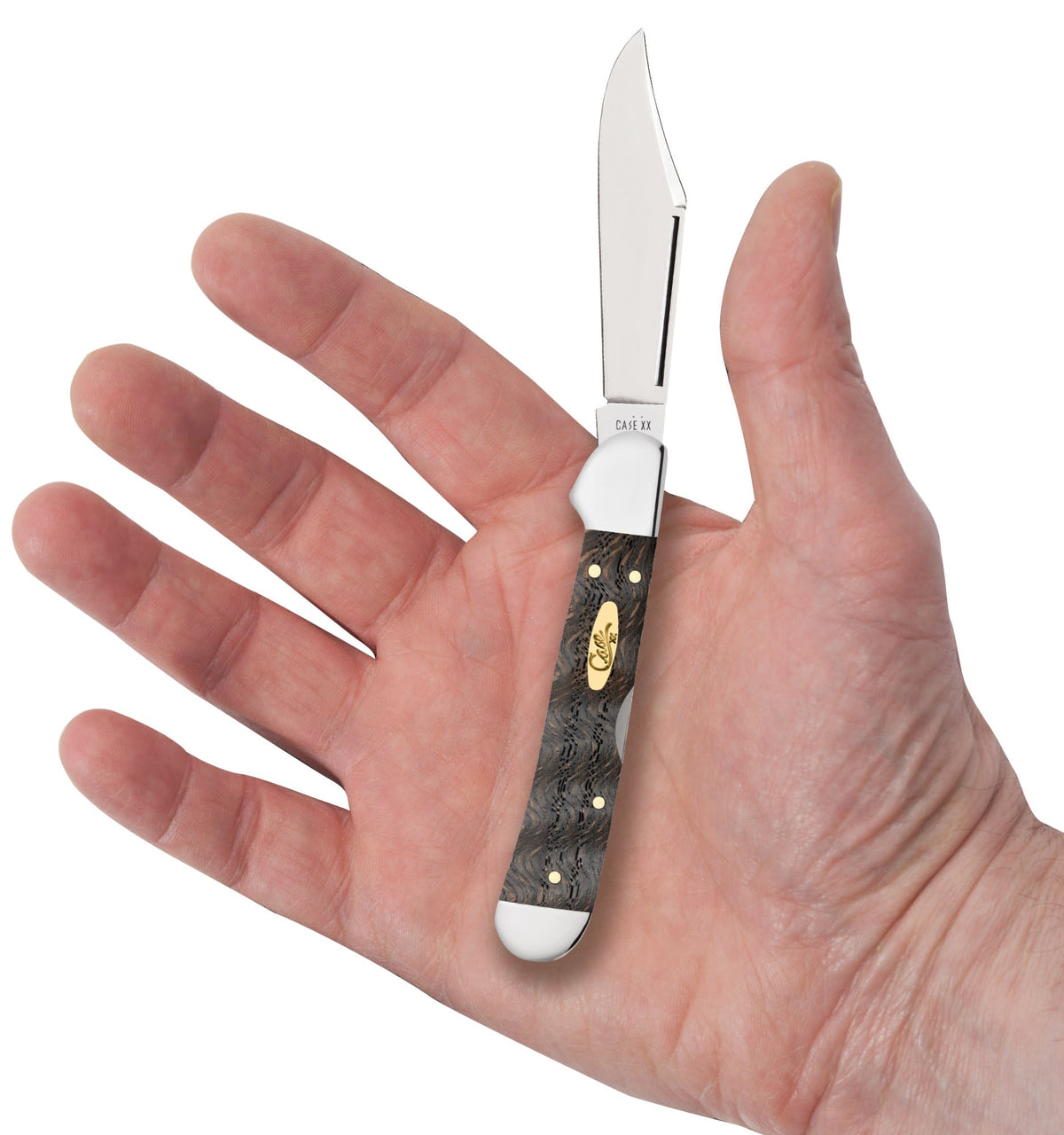 Case Knives Smooth Black Curly Oak Wood Mini CopperLock®