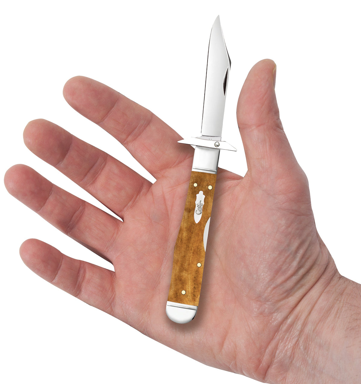 Case Knives Smooth Antique Bone Cheetah® Cub