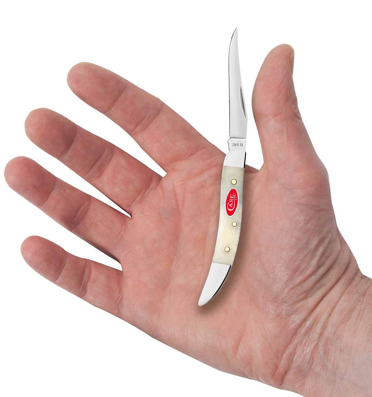 Case Knives Smooth Natural Bone Small Texas Toothpick
