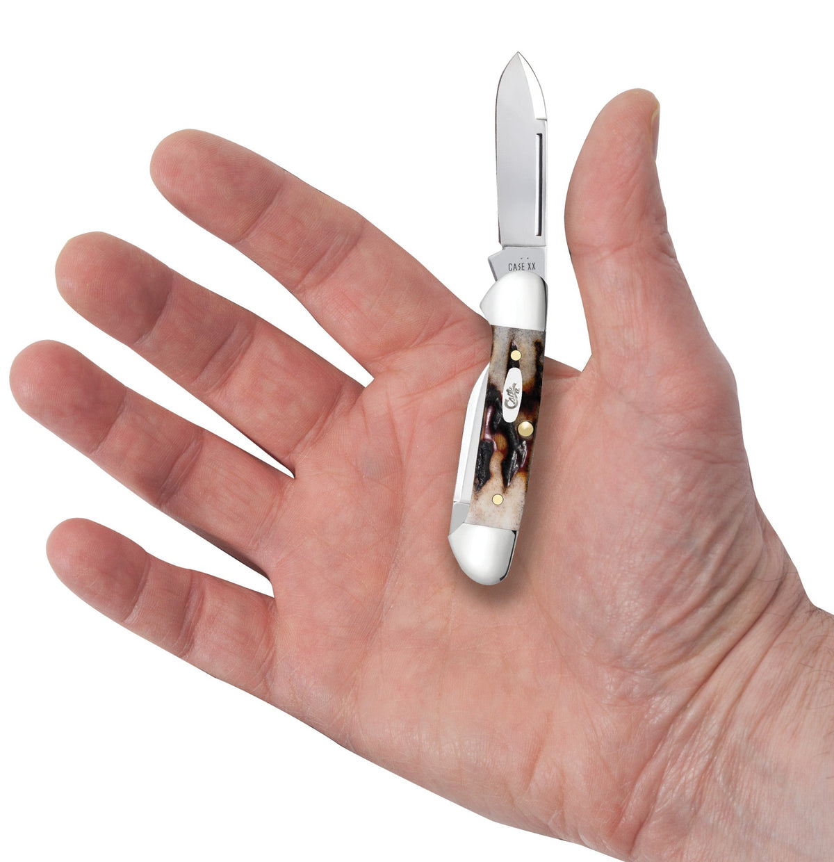 Case Knives Red Stag Baby Butterbean