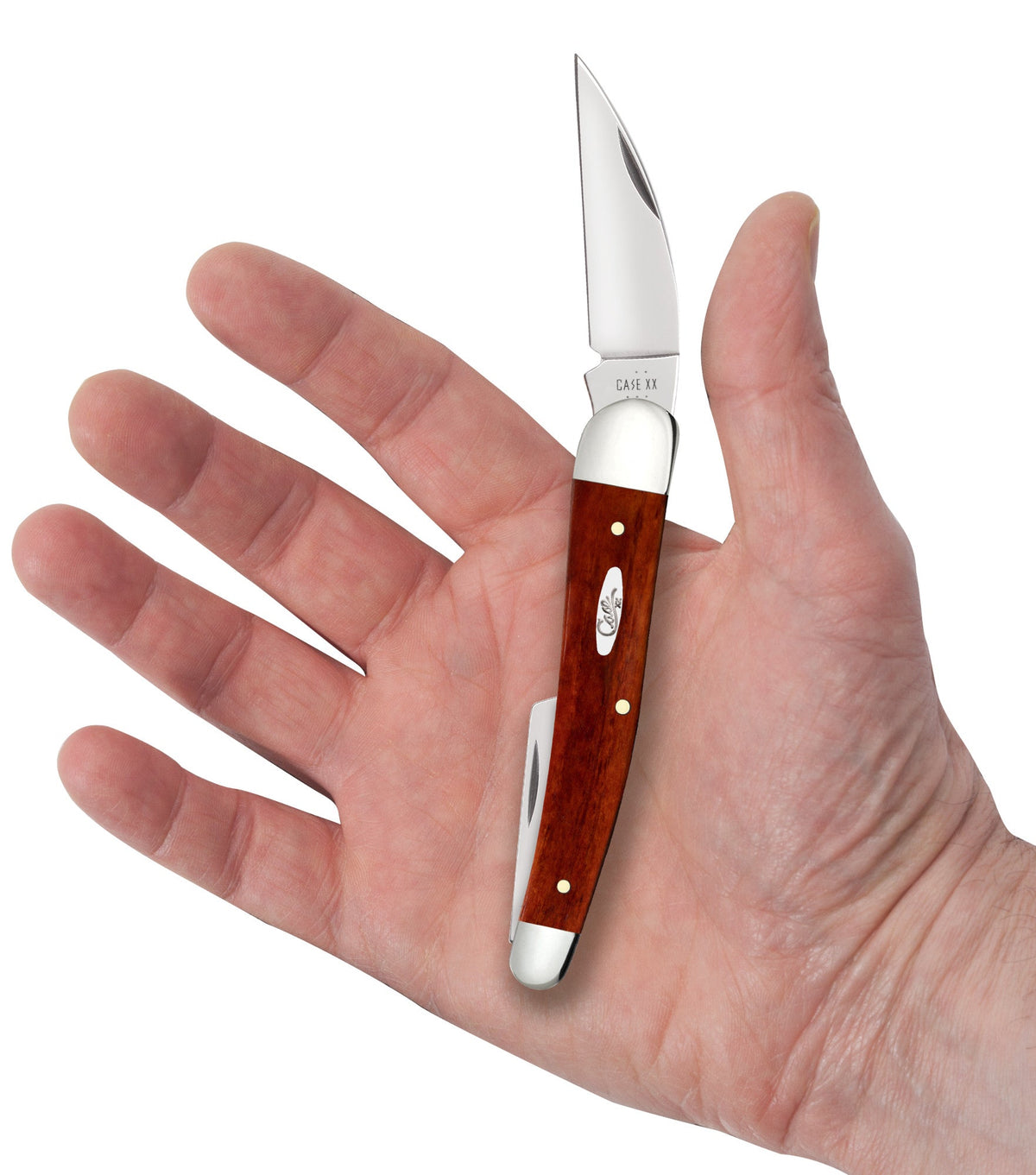 Case Knives Smooth Chestnut Bone Seahorse Whittler