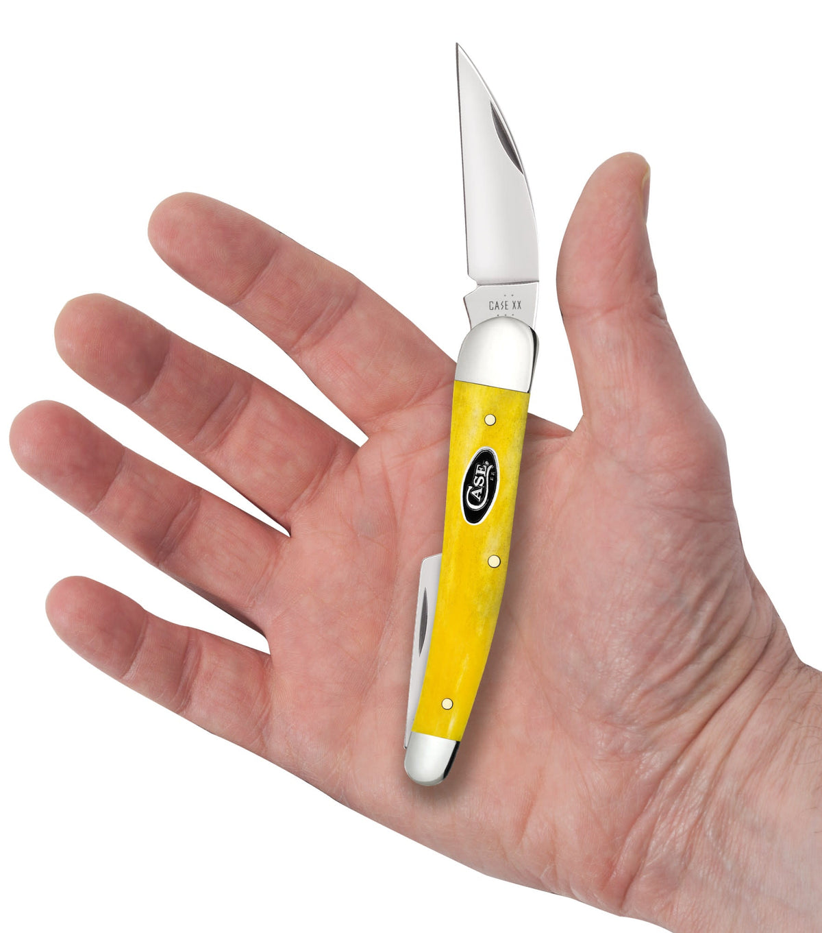 Case Knives Smooth Yellow Bone Seahorse Whittler