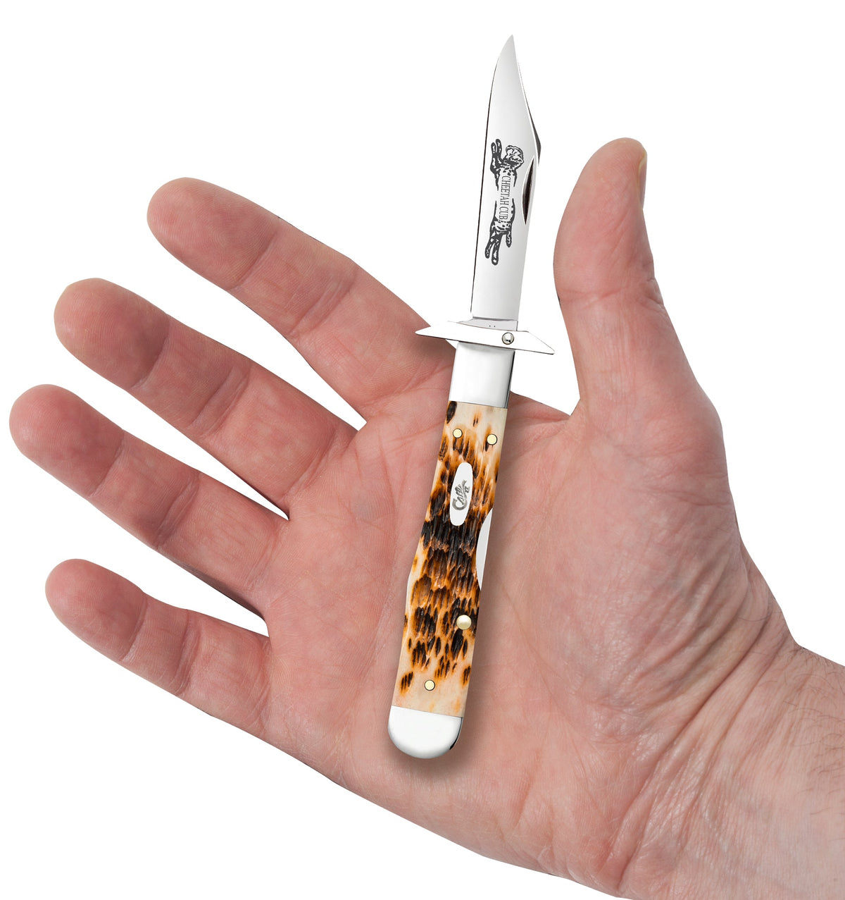 Case Knives Peach Seed Jigged Amber Bone Cheetah® Cub