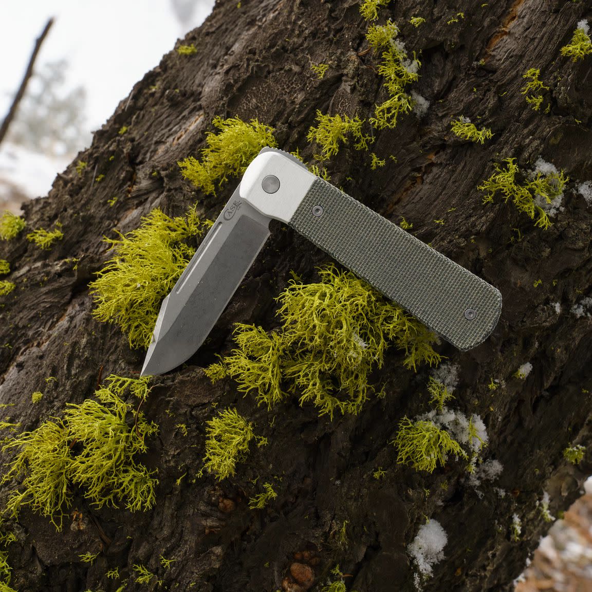 Case Knives Smooth OD Green Canvas Micarta® Longhouse® Knife