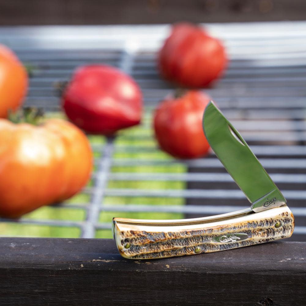 Case Knives 6.5 BoneStag® Sod Buster® Jr Knife