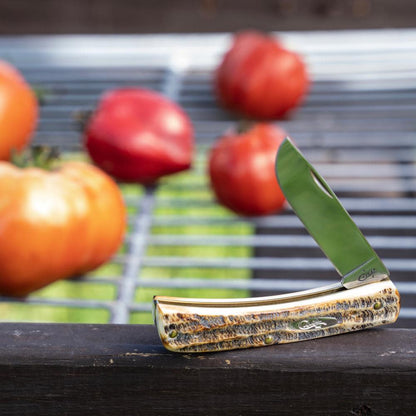 Case Knives 6.5 BoneStag® Sod Buster® Jr Knife