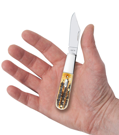 Case Knives 6.5 BoneStag® Barlow Knife