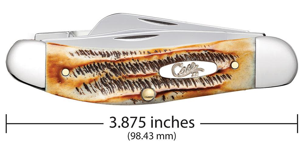 Case Knives 6.5 BoneStag® Sowbelly Knife