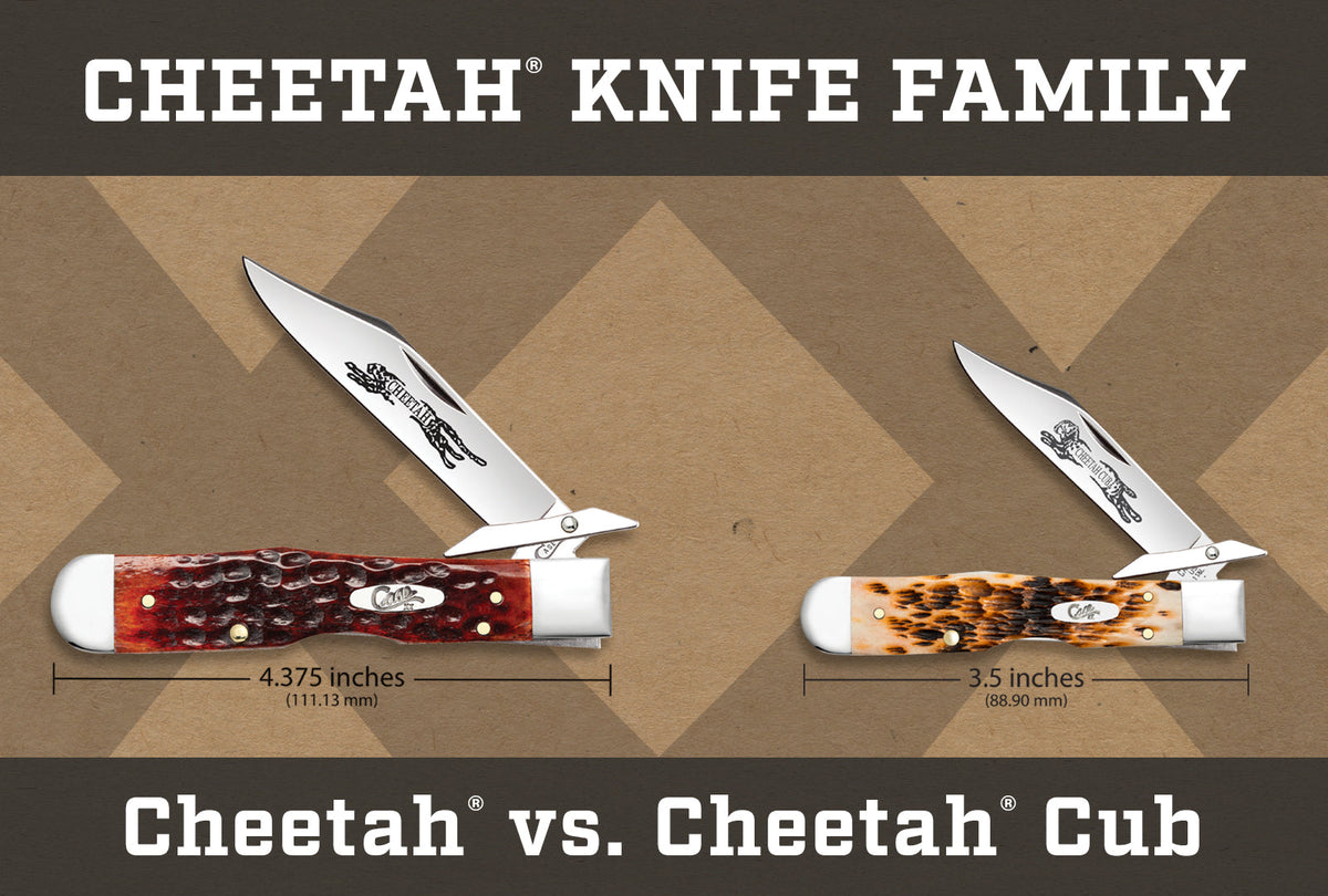 Case Knives 6.5 BoneStag® Cheetah® Cub