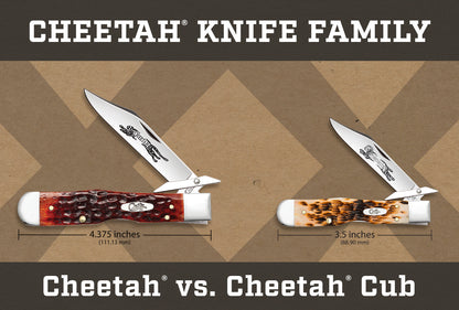 Case Knives 6.5 BoneStag® Cheetah® Cub