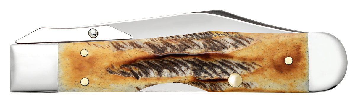 Case Knives 6.5 BoneStag® Cheetah® Cub