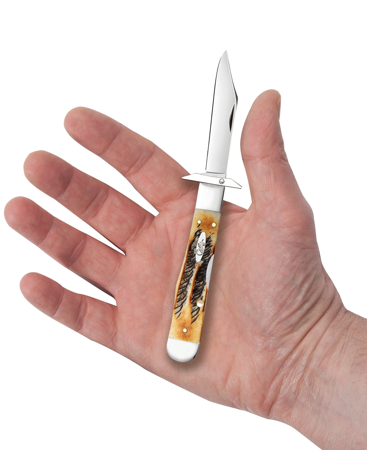 Case Knives 6.5 BoneStag® Cheetah® Cub