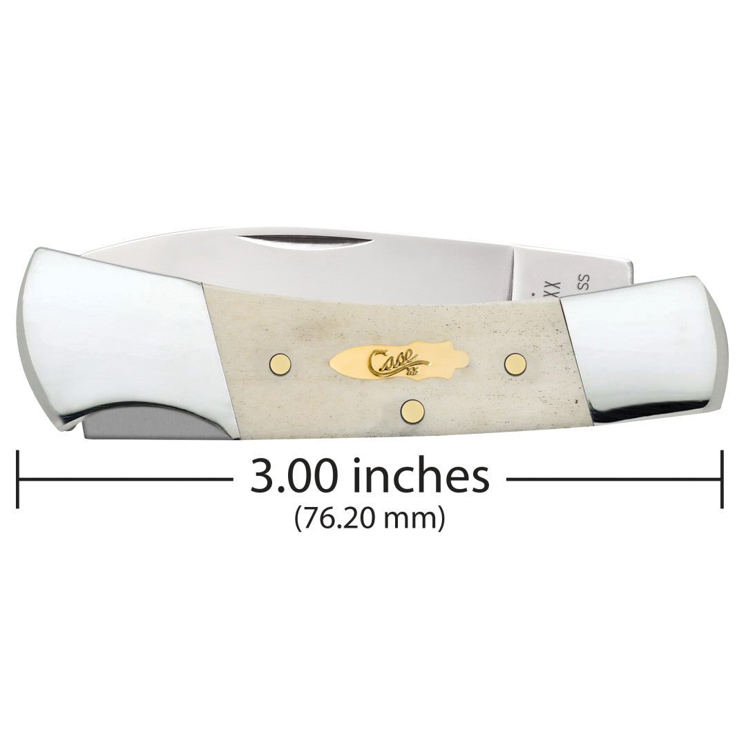 Case Knives Smooth Natural Bone Lockback with Brass Bomb Shield